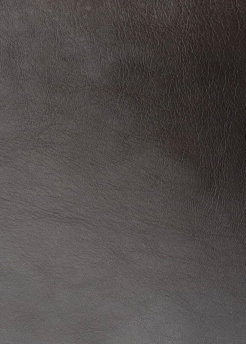 THEA LEATHER PANTS - AFENDRA